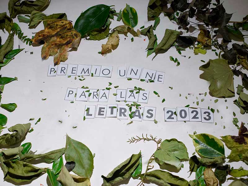 PREMIO UNNE PARA LAS LETRAS 2023